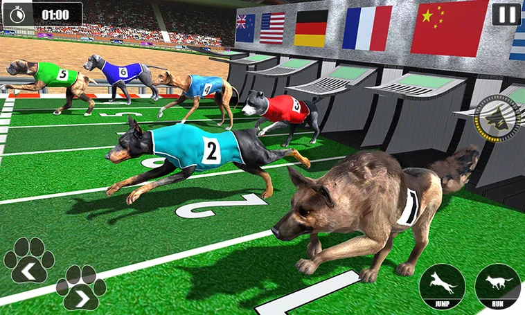 Hướng Dẫn Chơi Game Nhanh Đua Chó Tại EV88 Để Thắng Lớn